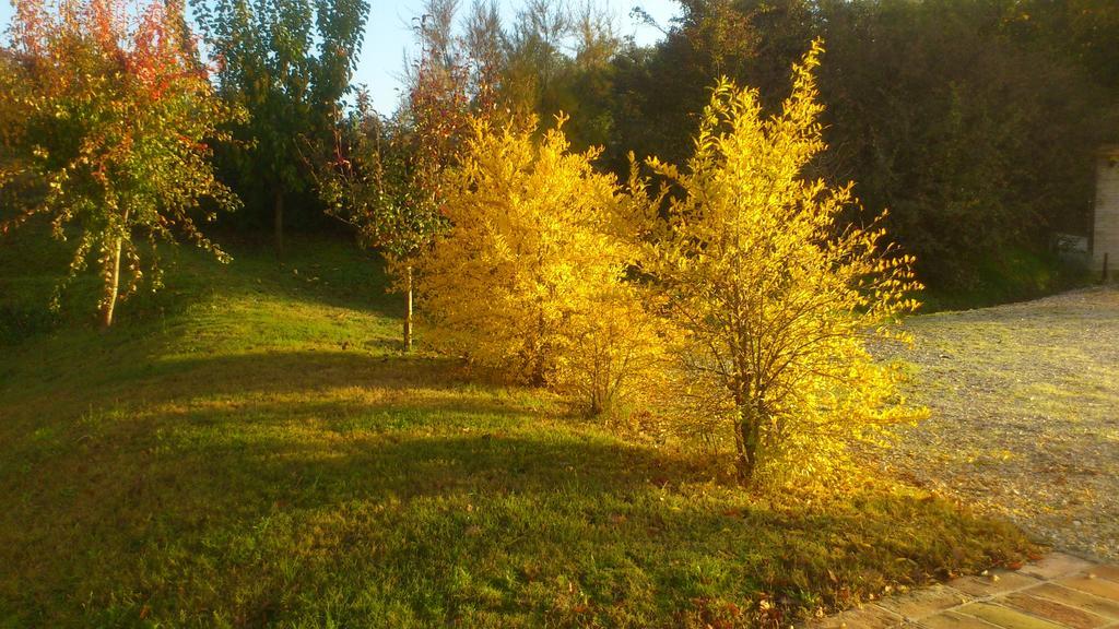 Poggio Dei Prugnoli Panzió Tavoleto Kültér fotó