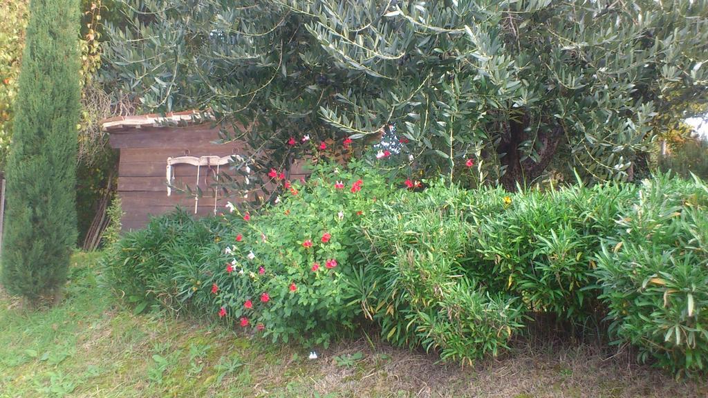 Poggio Dei Prugnoli Panzió Tavoleto Kültér fotó