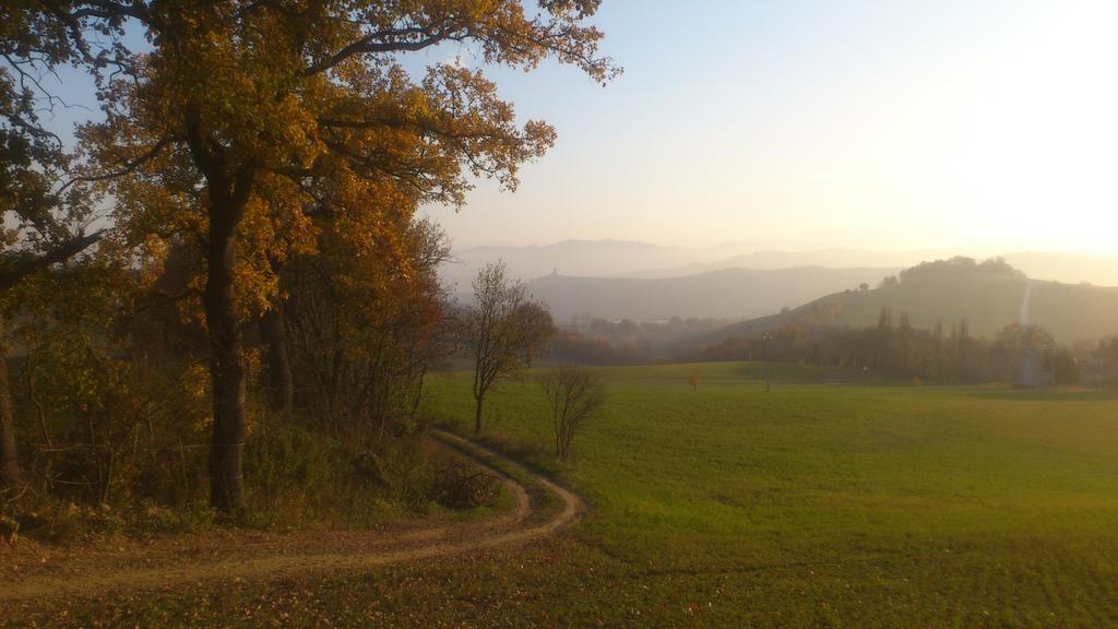 Poggio Dei Prugnoli Panzió Tavoleto Kültér fotó
