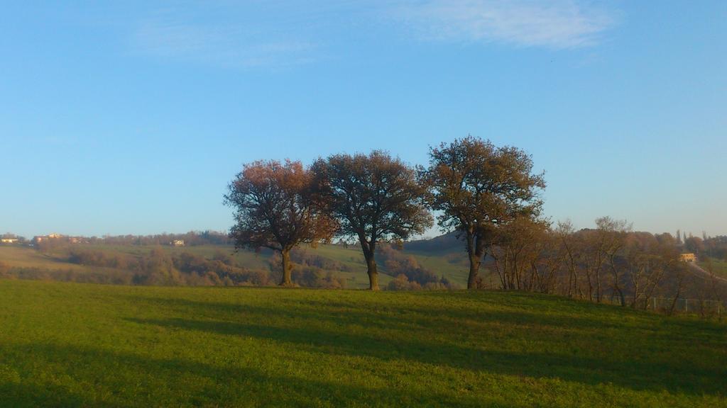 Poggio Dei Prugnoli Panzió Tavoleto Kültér fotó