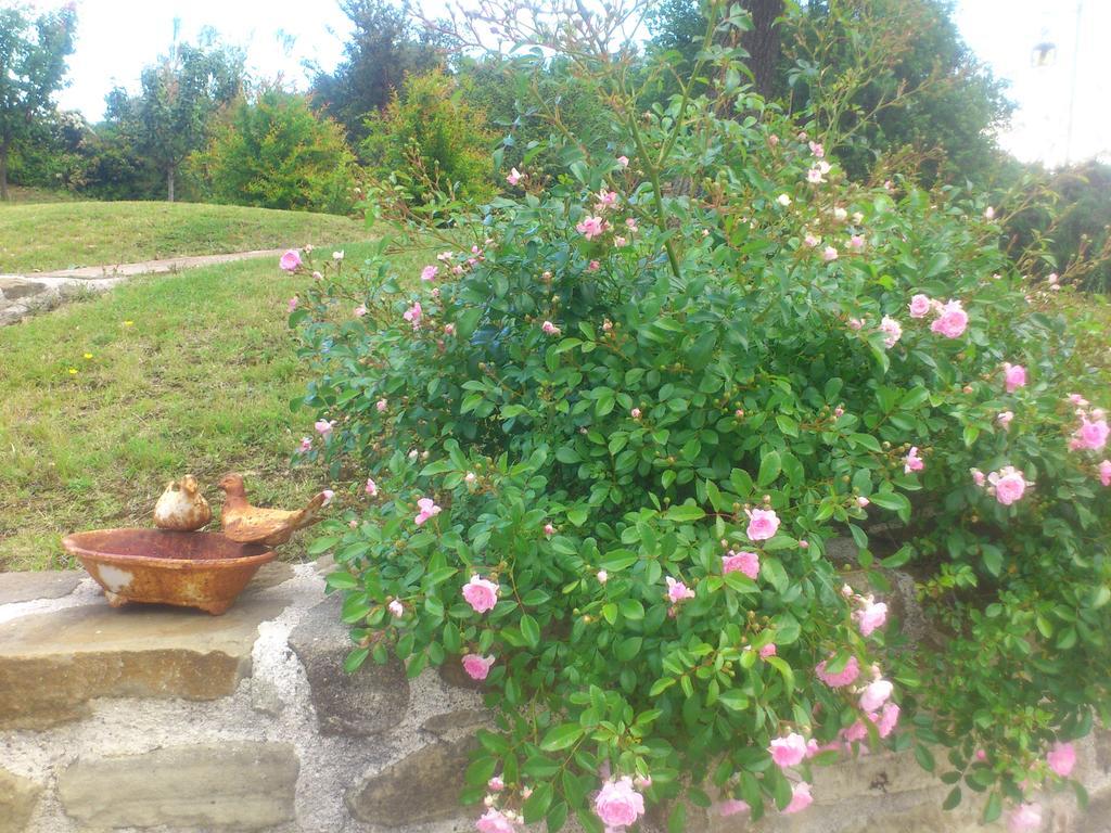 Poggio Dei Prugnoli Panzió Tavoleto Kültér fotó