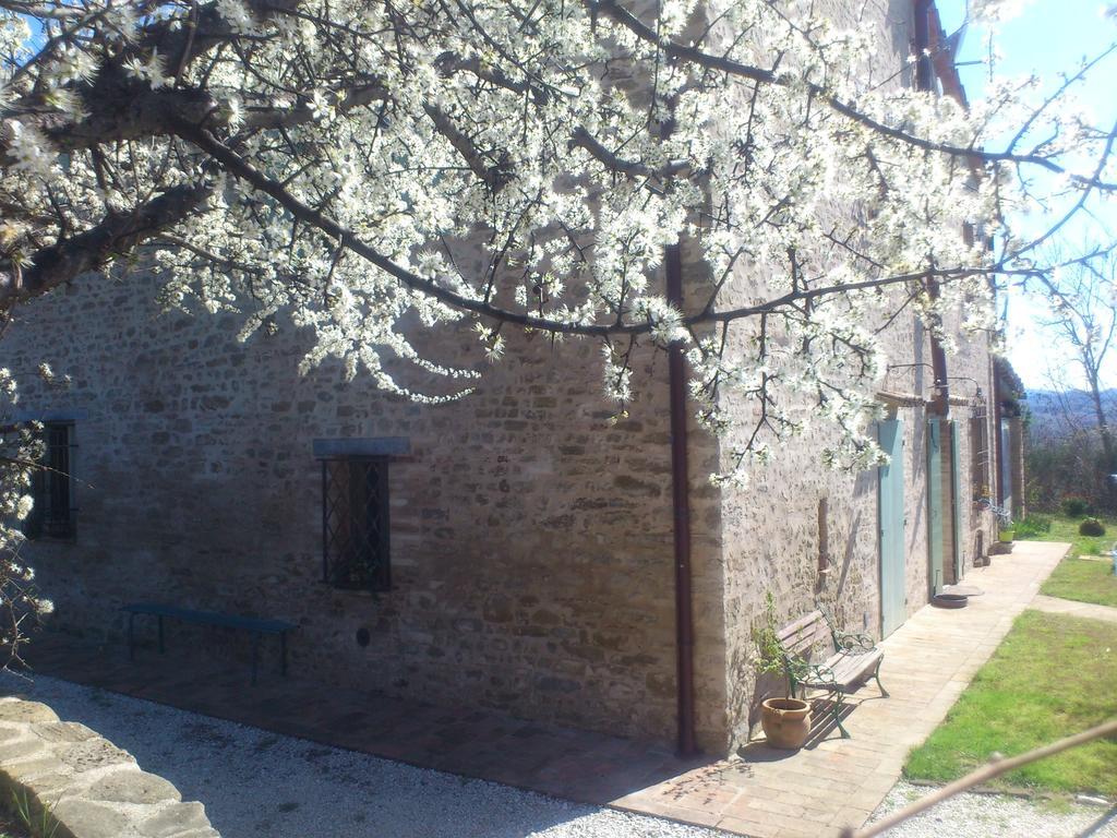 Poggio Dei Prugnoli Panzió Tavoleto Kültér fotó