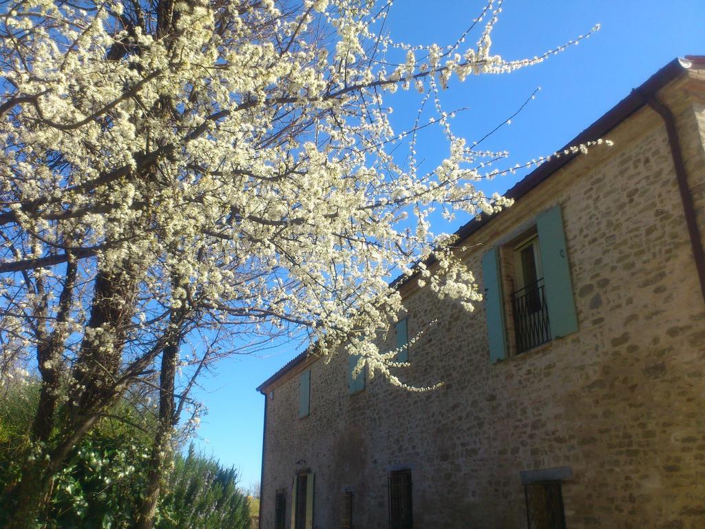 Poggio Dei Prugnoli Panzió Tavoleto Kültér fotó