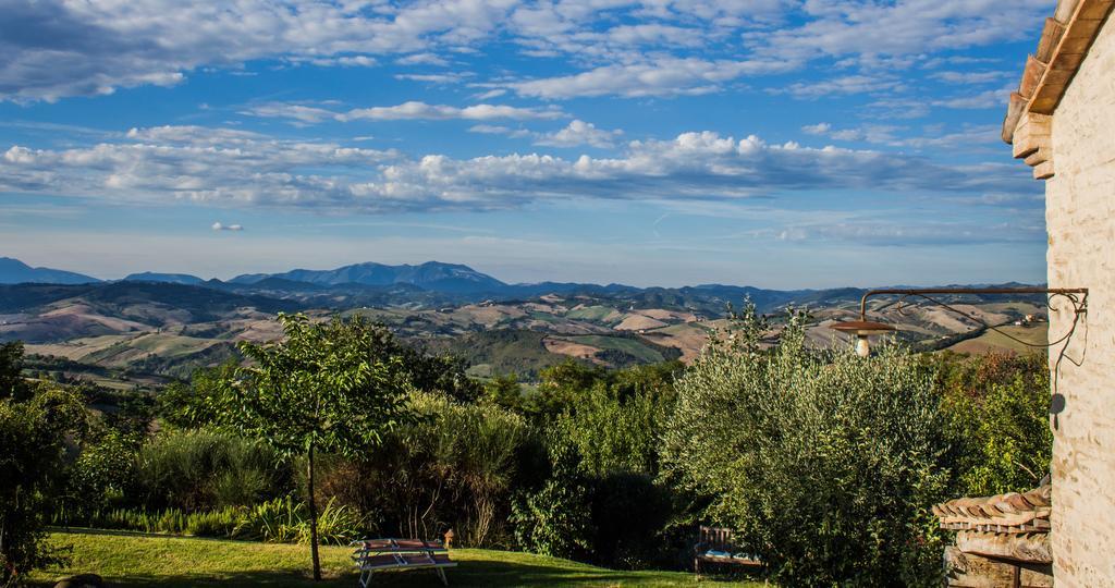 Poggio Dei Prugnoli Panzió Tavoleto Kültér fotó